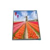 5 inch 480*854 500nits IPS TFT LCD RGB Interface LCD Display