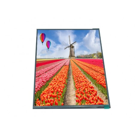 9 inch 800x1280 IPS LCD Screen MIPI Interface TFT display