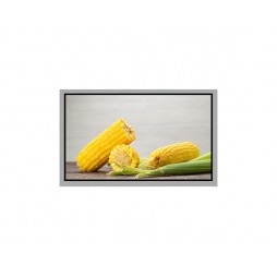 12.1 Inch High Brightness Monitor 1280x800, LVDS, IPS TFT LCD Module