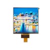 7.5inch 800*800 MIPI Square display for smart home