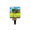 5 Inch 720x720 Resolution In-Cell LCD Square Screen with Built-in Touch Function