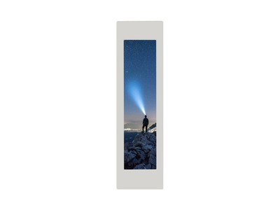 Bar Type LCD Display: Engineering Excellence for Modern Applications in 2025