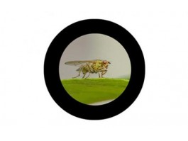 Can a touch screen monitor work with any computer? Can a touch screen monitor work with any computer?