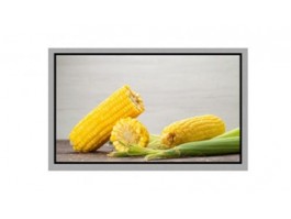 How to test monitor brightness? How to test monitor brightness?