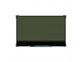 Monochrome Display: Technology with Modern Applications Monochrome Display: Technology with Modern Applications