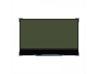 Monochrome Display: Technology with Modern Applications