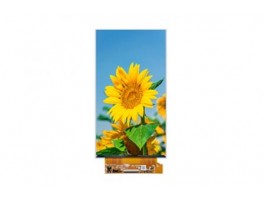 What is the best brightness of the monitor? What is the best brightness of the monitor?